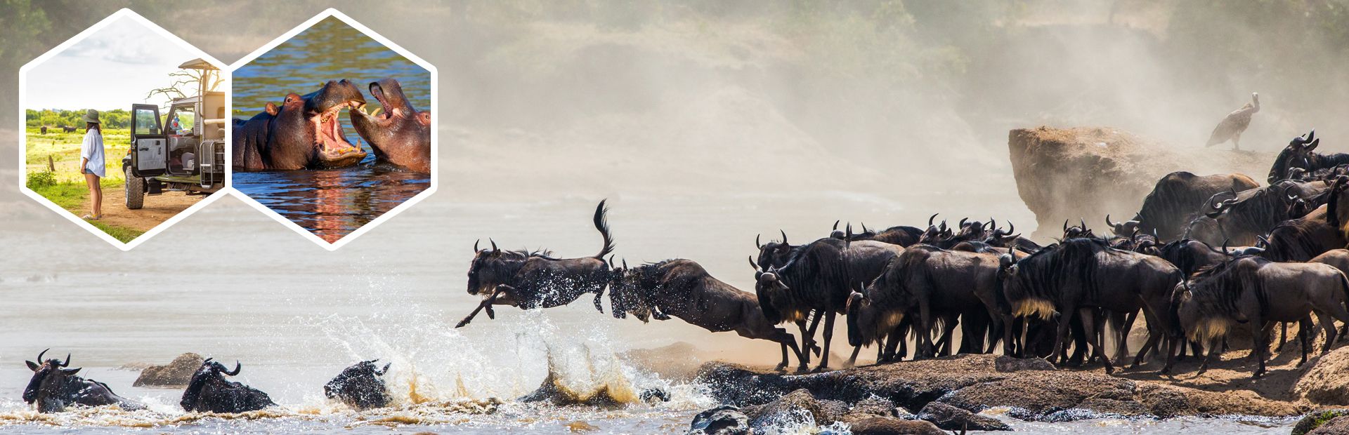 masai-mara&zanzibar-getaway'